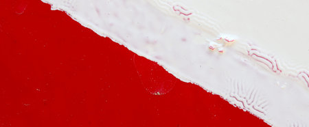 red and white wall with paint