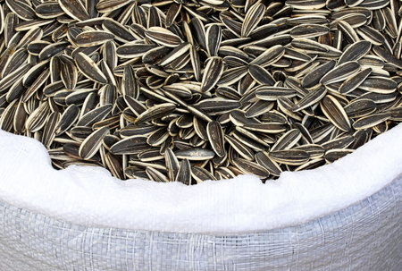 close-up dried sunflower seeds background