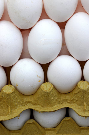 close-up organic eggs in the carton box