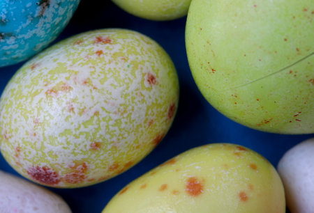close-up colorful easter candies detail