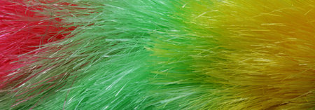 close-up of colorful feathers backgroundの写真素材
