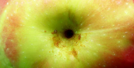 extreme close-up red and green apple backgroundの写真素材