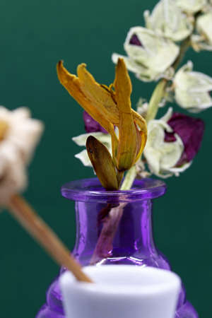 close-up dried flowers detail in backgroundの写真素材