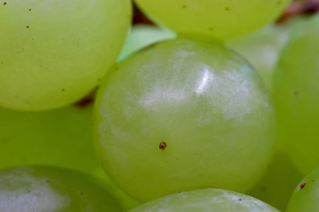 close-up organic and fresh green grapes
