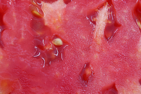 close-up slice of red tomatoの写真素材
