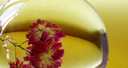 close-up lens ball and flowersの写真素材