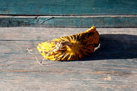 a slice of bowler on a wooden backgroundの写真素材