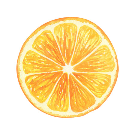 Vibrant juicy orange slice watercolor clipart isolated. Dried orange chip spice for mulled wine and...