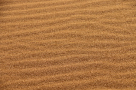 sand texture - background of desert sand dunes. Beautiful structures of sandy dunes. sand with wave...
