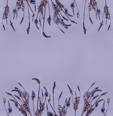 Flower arrangement. Border of fresh flowers in pastel purple tones. Summer concept. Flat sunbed, top view, copy spaceの写真素材