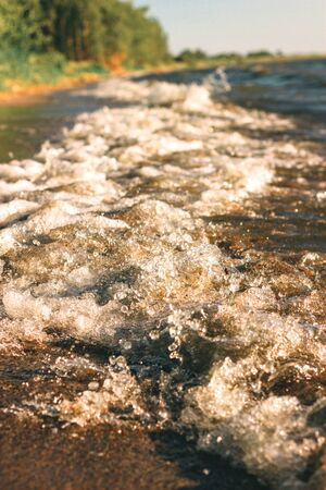 Wave with spray on the sandy beach against the background of the forestの写真素材