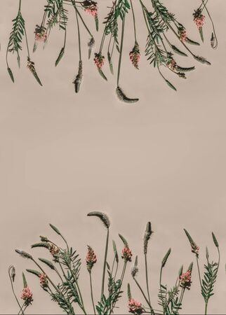 Flower arrangement. Border of fresh flowers in pastel beige tones. Summer concept. Flat sunbed, top view, copy spaceの写真素材