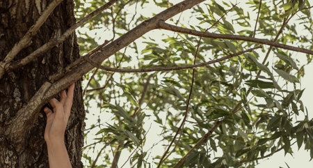 A person's hand touches a tree branch. Banner with green leaves on the theme of ecology