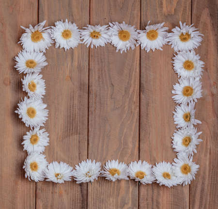 Garden flowers over brown wooden table background. White blooming chrysanthemums. Frame with copy spaceの写真素材