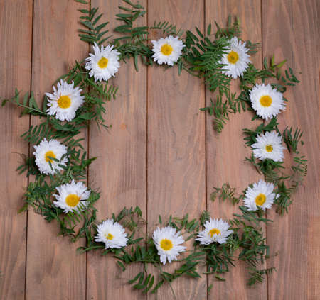 Wild field plants over brown wooden table background. White blooming chrysanthemums.の写真素材