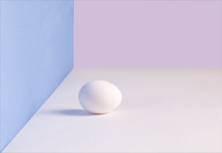 White single egg. Chicken egg with soft shadows on white table. pink, blue background.の写真素材