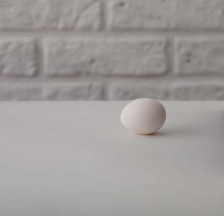 White single animal egg. Chicken egg with soft shadows on white background. Template for Easter holiday.の写真素材