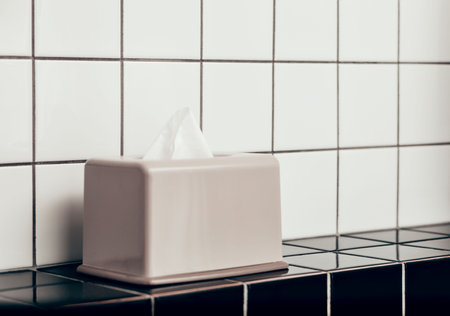 Tissue box and bathroom on ceramic tiles - the concept of cleanliness, cold and flu season, griefの写真素材