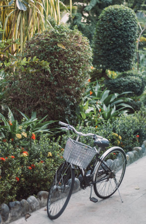 Cycling or commuting in city urban environment, ecological transportation concept. bicycle with a basket near bushesの写真素材