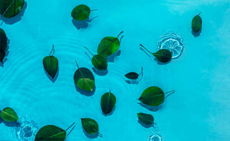 Water ripple with green leaves. Trendy white background for cosmetic product presentation. Artistic concept. Flat lay, copy space.の写真素材