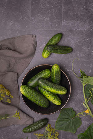 Composition of fresh Cucumber, Fresh Dill Herb on dark backgroundの写真素材