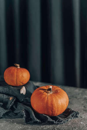 Orange Halloween pumpkins with insects on dark background. holiday decorationの写真素材
