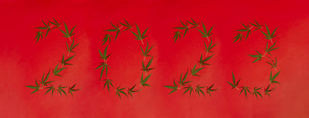 2023 numbers made of cannabis leaves isolated on white with blurred leaves in foreground. Happy New Year concept. Legalize marijuana concept.の写真素材