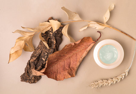 Flat lay composition with a moisturizer, dry leaves and wheat spikelets, Natural nude, beige. Concept of protecting skin with cream in autumnの写真素材