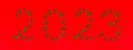 2023 numbers made of cannabis leaves isolated on white with blurred leaves in foreground. Happy New...
