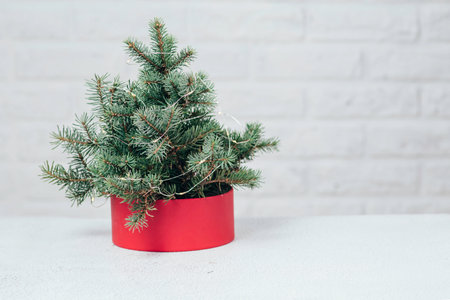 christmas tree in red gift boxes over white brick wallの写真素材