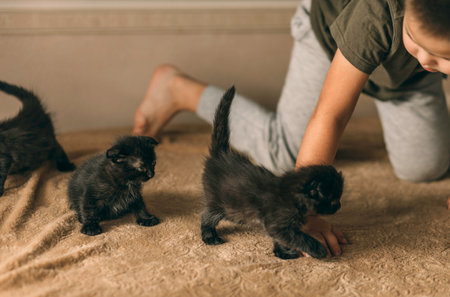 little boy and Black kittens. Kids play with pets. Children and domestic animals. Without allergiesの写真素材