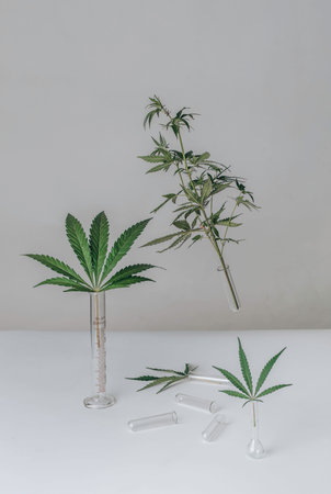 Natures Lab: CBD-Infused Discoveries in Glass Alchemy