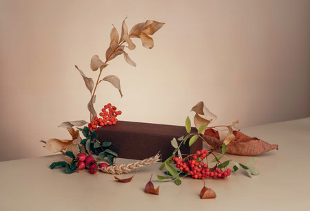 brown podium with a branch of leaves, red berries and an arch for the demonstration of cosmetics.
