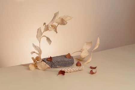 a stone podium with a branch of leaves and an arch for displaying cosmetics diagonally. Beige background for branding and packaging presentationの写真素材