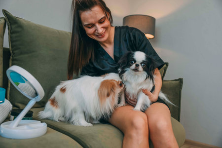 woman and her fluffy dogs, cozy home environment, complete with personal grooming itemsの写真素材