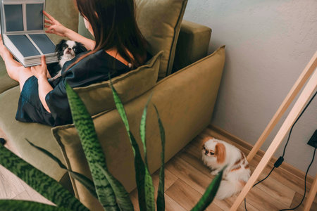 woman with patches relaxing on couch, reading a book, and petting dog in a cozy living room, concept of self-care and pet careの写真素材