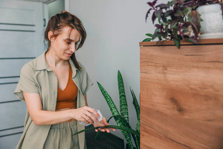 woman in linen outfit wiping houseplant leaves with cloth, look down in bright cozy room near wooden cabinet and decorative pots, home gardening, plant care, eco lifestyleの写真素材