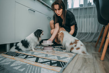woman caring for japanese chin in modern kitchen, concept of pet care and contemporary lifestyleの写真素材