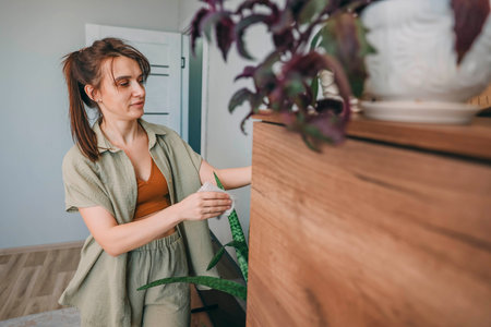 woman in linen outfit wiping houseplant leaves with cloth in bright cozy room near wooden cabinet and decorative pots, home gardening, plant care, eco lifestyleの写真素材