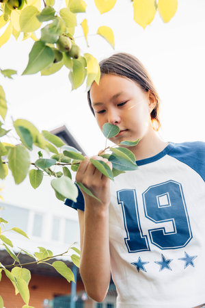 Asian teen girl picking leaves from tree in backyard garden during sunny evening with curious expression near suburban house and green foliage, family lifestyle, gardening blog, verticalの写真素材