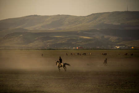 Man riding horseの写真素材