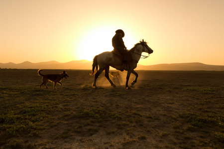 silhouette  man riding horse