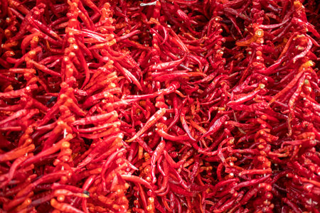 pepper hanging to dry in the sun