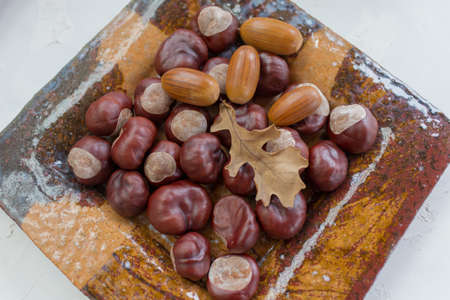 horse chestnuts and acorns and dry leaves very niceの写真素材