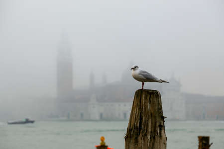venice, Italy-february.23.2020: morning foggy day before covit 19 pandemicのeditorial素材