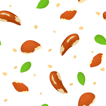 Vector seamless pattern brazil nuts with leaves. Illustration of brazilian nut isolated on white background it can be used as packaging design element printing brochures on healthy and vegetarian dietのイラスト素材