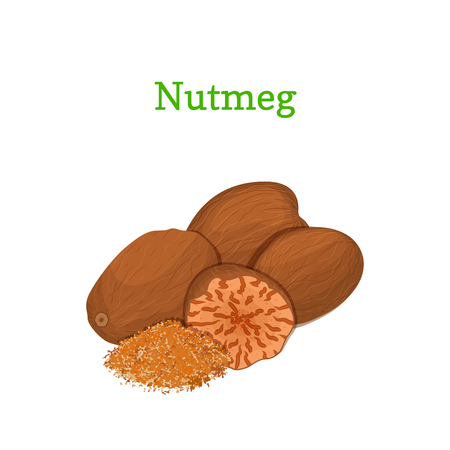 Nutmeg vector illustration of a handful of whole and crushed spices isolated on white background it can be used as packaging design element, printing brochures on healthy and vegetarian dietのイラスト素材