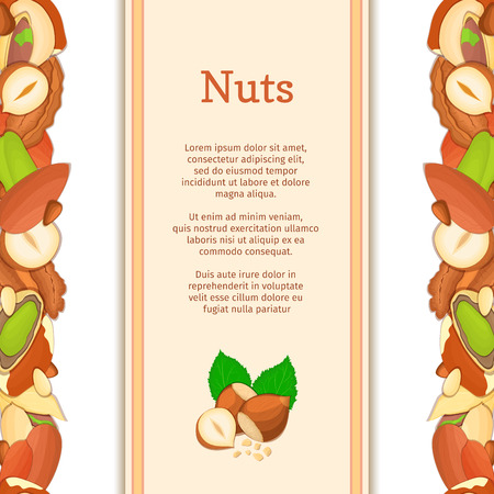 Vertical colored frame composed of different nuts brazil, cashew, peanut, pecan, pine, pistachio. Vector card illustration. Border nuts frame with place for your text for packaging design elementのイラスト素材