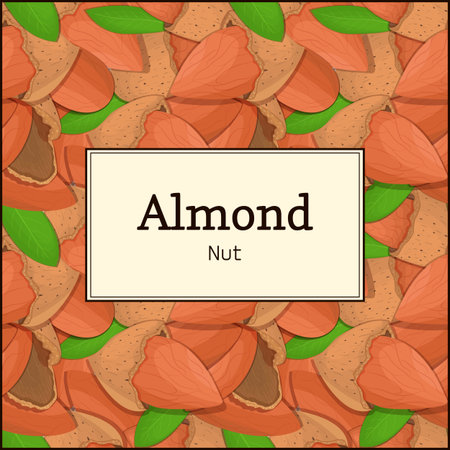 The rectangular frame on almond nut. Nuts frame, almonds fruit in the shell, whole, shelled, leaves appetizing looking for packaging design of healthy food, menuのイラスト素材