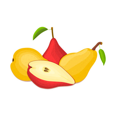 Composition of several pears. Yellow and red vector pear fruits appetizing looking. Group of tasty fruits colorful design for the packaging of juice, breakfast, healthy eating, vegetarianismのイラスト素材